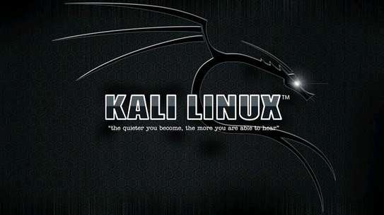 Kali linux 
kali rolling instalation image 1