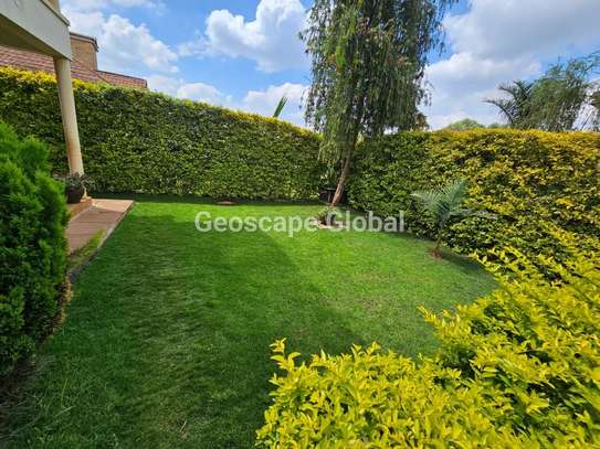 4 Bed House with En Suite in Loresho image 2