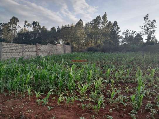 0.1 ha Residential Land in Kikuyu Town image 5