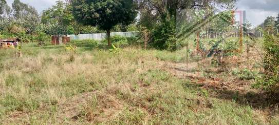 Prime ½acre,Clean title image 4