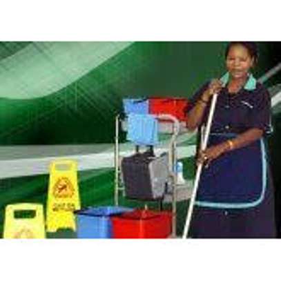 CLEANING SERVICES,FUMIGATION & PEST CONTROL IN JUJA image 9