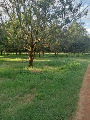0.5 ac Land at Thika Grove Chania-Opposite Blue Post Hotel image 8