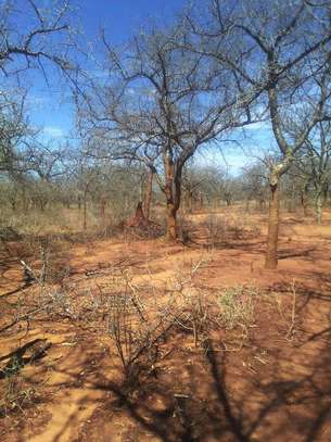 64 acres along Makindu-Wote Road Makueni County image 2