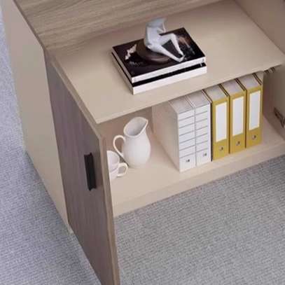 Office Cabinet : 2-Door Half Office Storage Cabinet image 4