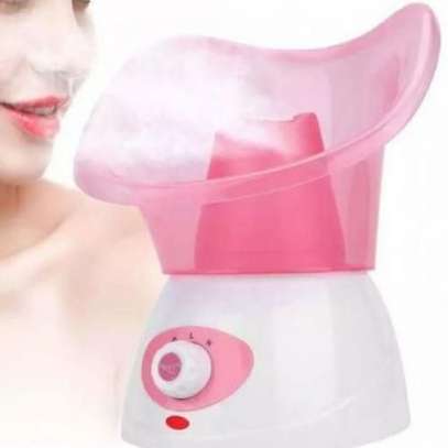 SHARE THIS PRODUCT   Benice 3in1 Deep Cleaning Facial Steamer image 1
