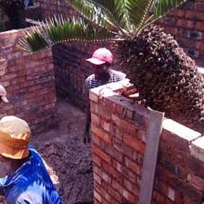 Cheap Tree Cutting Services Nairobi and Surrounding. image 9
