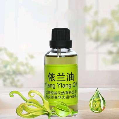 Ylang Ylang Oil image 4