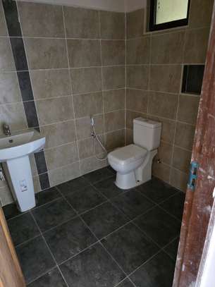 1 Bed Apartment with En Suite at Mtambo image 15