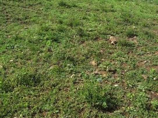 506 m² commercial land for sale in Ongata Rongai image 8