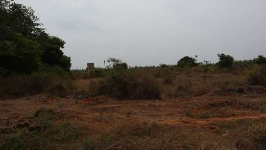 20 ac Land in Kikambala image 2