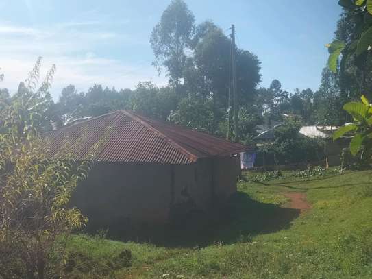 Spacious Rural Land Plot for Farming & Home image 3