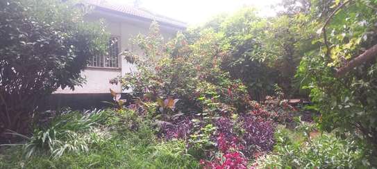 0.65 ac Residential Land at Mbaazi Avenue image 5
