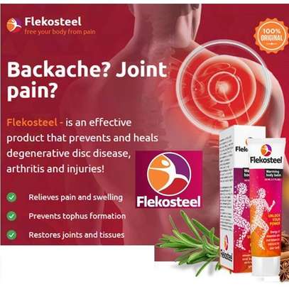 flekosteel Spine Cream Back Arthritis Pain image 1