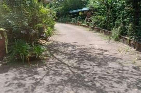 0.91 ac Land at Convent Dr Junction image 6