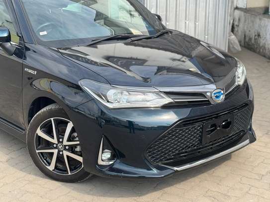 Toyota axio WXB black 2019 image 15