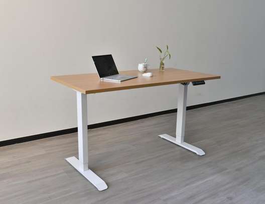 Standing Desks : Adjustable Electric Standing Desk image 3