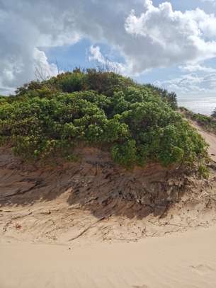 Malindi beachside plots — 50×100 ft. From KES 2M per plot image 10