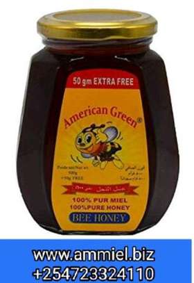 AMERICAN GREEN HONEY 500G50G Extra. image 3