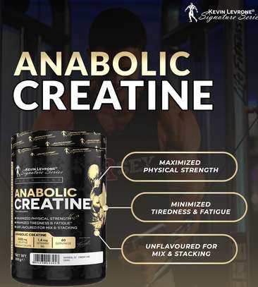 Anaboic creatine 300g image 1