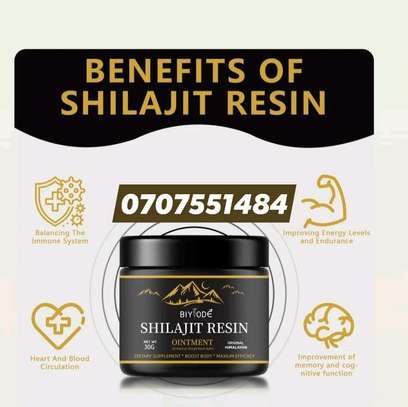 Shilajit Resin image 1