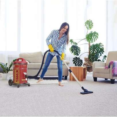 Hand-held Bucket Carpet Vacuum Cleaner 25L image 1