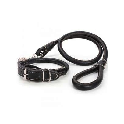 Leather Dog Collar & Leash-Black image 1