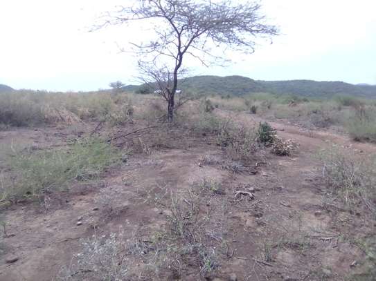 One Acre Of Land For Sale in Tinga / Oletepesi image 6