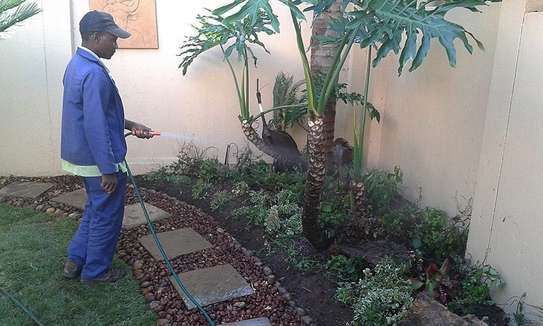 PROFESSIONAL LANDSCAPING, LAWN CARE, & MAINTENANCE SERVICES  NAIROBI.GET A FREE QUOTE TODAY. image 1