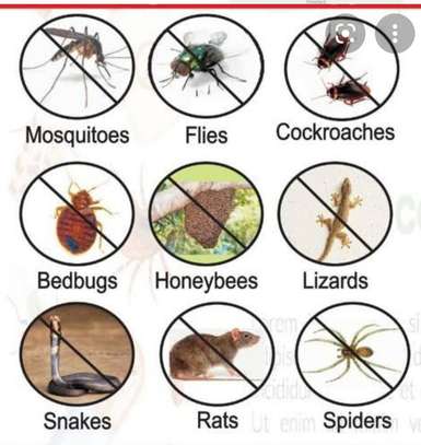 Mosquitoes Fumigation Kitengela image 1