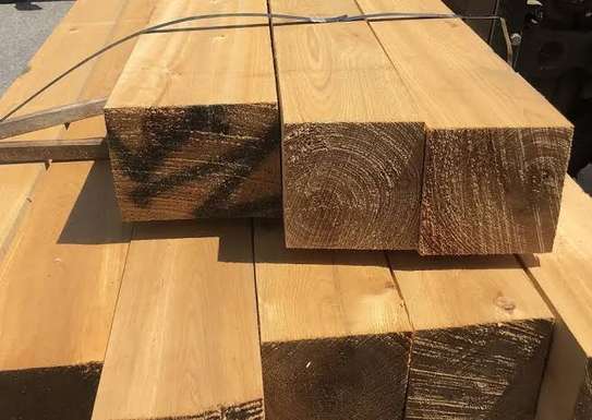 Meru oak,Newtonia(Mukui)&Acrocarpus timber image 4