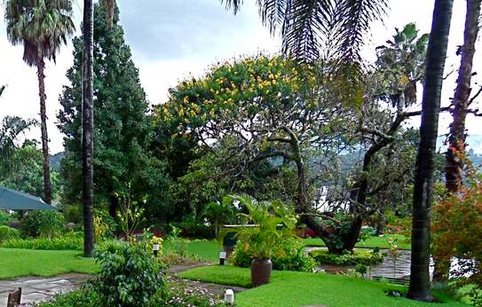 Bestcare Gardening Services Nairobi,Ngong,Limuru,Thika image 5