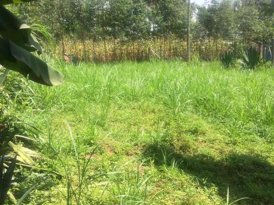 0.41 Acres prime Land For Sale in Malava, Kakamega County image 1