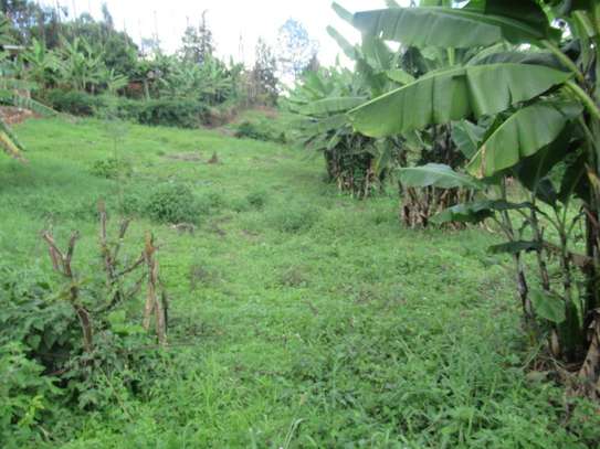 1/4-Acre Plot For Sale in Muthiga image 6