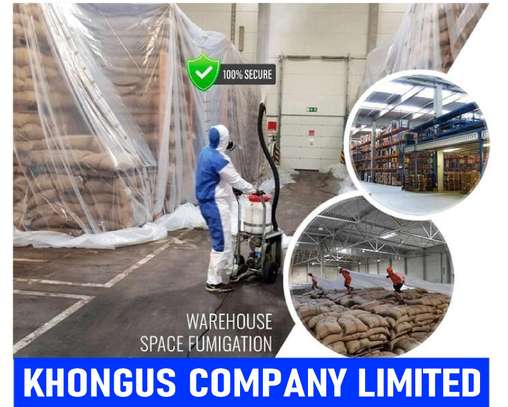 Fumigation and Pest control Services image 4