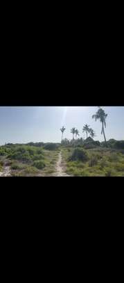 Land in Watamu image 15
