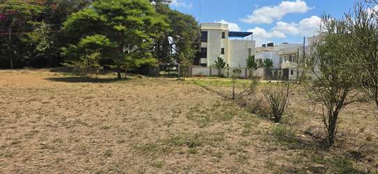 0.25 ac Land at Kamakis image 6