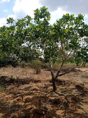 30 acres of land for sale in Makindu Makueni County image 5