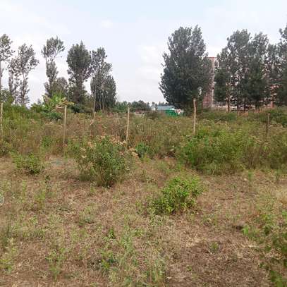 Kenol 40*80ft commercial plots for sale in Muranga county image 3