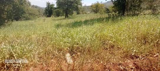 Itabua Nduba 1acre image 2