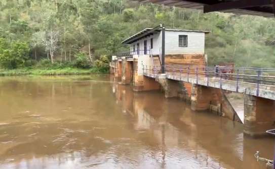 Errand services image 4