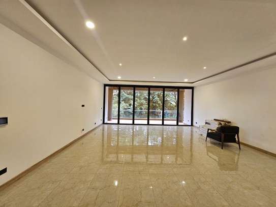 4 Bed Apartment with En Suite in Spring Valley image 6
