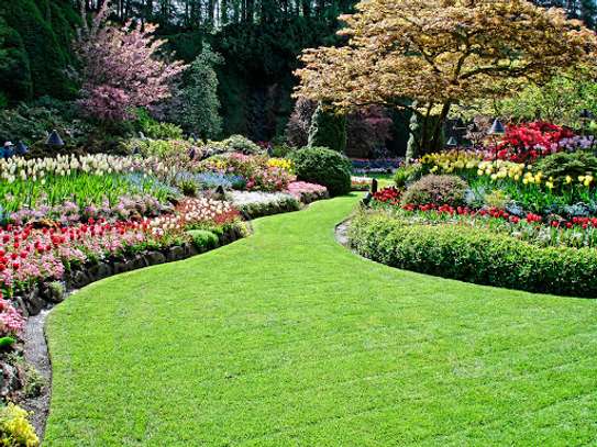PROFESSIONAL LANDSCAPING, LAWN CARE, & MAINTENANCE SERVICES  NAIROBI.GET A FREE QUOTE TODAY. image 5