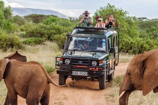 3 Days Best of Masai Mara Safari image 6
