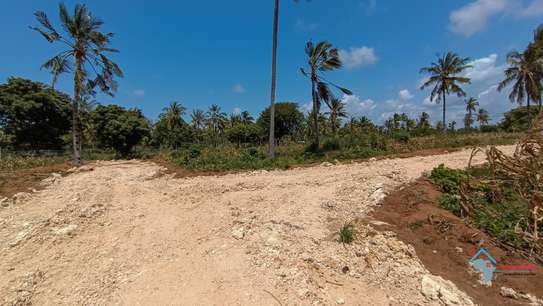 Prime Tropical Land Plot Cleared for Building image 2