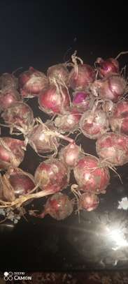 Red onions for sale in Nanyuki image 1