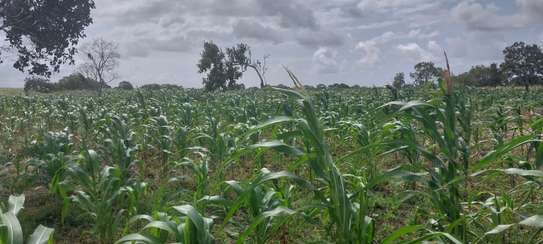 1/4 and Full Acre Plots for sale in Malindi image 9