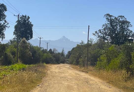 Ideally Located 1/4 Acre Plots With Forest Mt Kenya View image 2