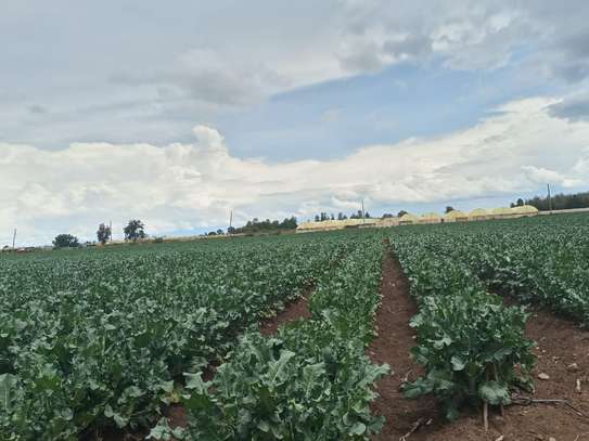 60 acres Land Muramati image 3