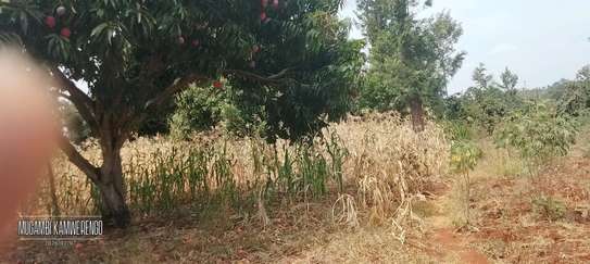 Ugweri 2acres image 4