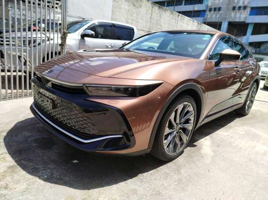 Crown new shape image 3